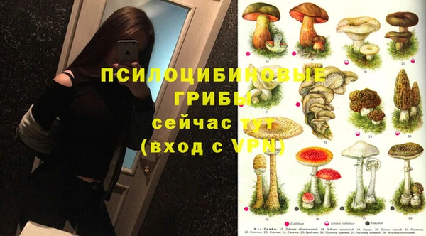 герыч Зеленодольск