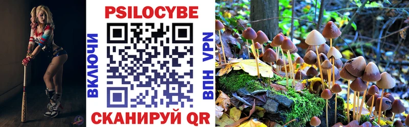 Купить где  Гагарин  Псилоцибиновые грибы ЛСД 